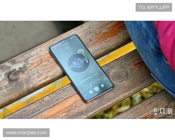 问鼎官方下载入口app详细操作流程，帮助用户快速完成应用安装与使用