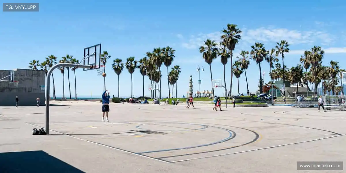 全球电竞麻将乐园：职业国粹排位自摸，实时胡牌不停